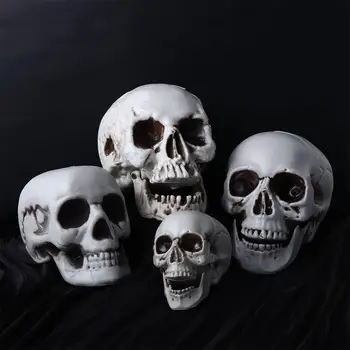 Stil Halloween Toate Dimensiunile Craniului Uman Scheletul Capului Foto Prop Petrecere Acasă Decor Joc Consumabile Agățat Decor